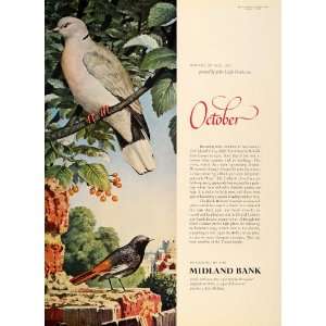  1963 Ad Midland Bank John Leigh Pemberton Collared Dove 