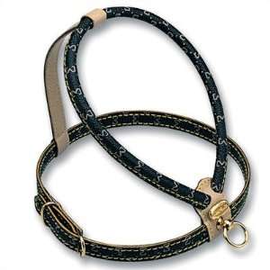   Leather Dog Harness with Embossed Monogram Size: Medium: Pet Supplies