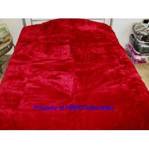  Korean Style Queen Blanket Solid Red Burgundy: Home 