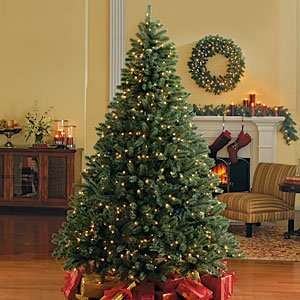  4.5 Foot Blue Spruce Pre Lit Christmas Tree, Clear: Home 