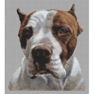  American Pit Bull Terrier   Cross Stitch Pattern: Arts 