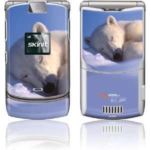  Sleeping Polar Bear skin for Motorola RAZR V3 Electronics