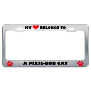 My Heart Belongs To A Pixie Bob Cat Animals Pets Metal License Plate 