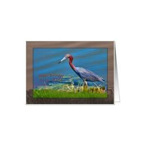  Birthday, 82nd, Little Blue Heron Bird Card Toys & Games