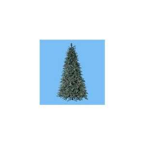Pre Lit Blue Noble Spruce Christmas Tree:  Home 