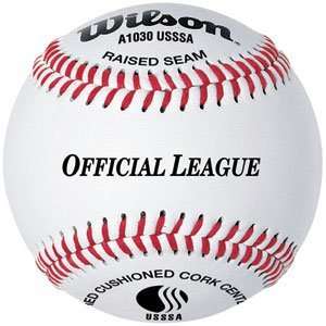  Wilson USSSA A1030B League Leather Baseballs: Sports 