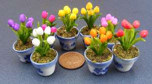 Handmade Dolls House Miniature Tulip Flowers In A Pot  