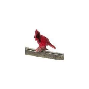 Dollhouse Miniature Male Cardinal Toys & Games