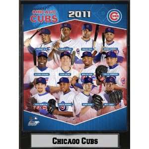  Encore Select 510 BBCHI2011 2011 Chicago Cubs 9X12 Stat 