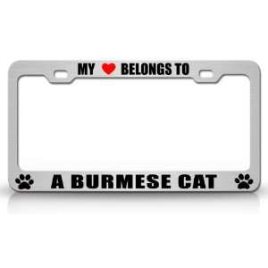  MY HEART BELONGS TO A BURMESE Cat Pet Auto License Plate 