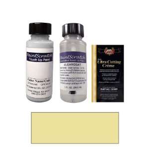   Paint Bottle Kit for 1979 Lincoln All Models (6R (1979)): Automotive