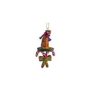  Cheetah Candy Cane Christmas Ornament: Home & Kitchen