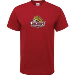  IUPUI Jaguars Cardinal Youth Logo T Shirt: Sports 