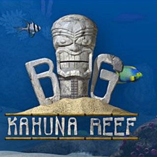  Big Kahuna Reef 3  Video Games
