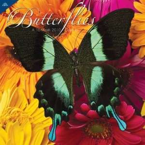  Butterflies 2010 Wall Calendar