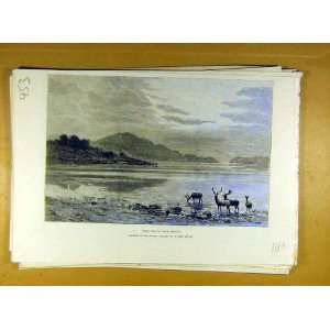  1889 Deer Island Loch Lomond Scotland Severn Print