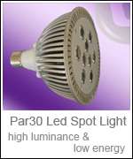 Par30 Led Spot Light