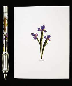 Sensa Secret Garden Crystal Iris Pen and Card Set  