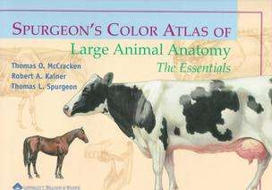 Spurgeons Color Atlas of Large Animal Anatomy  