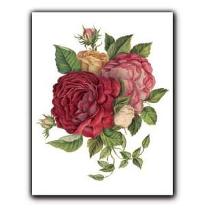  Roses IV   Gift Enclosure Cards (set of 12): Home 