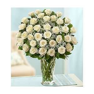 Flowers by 1800Flowers   Ultimate Elegance Premium Long Stem White 