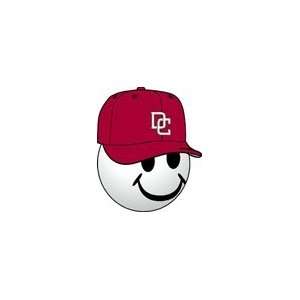  Washington Nationals MLB Team Logo Antenna Topper: Sports 