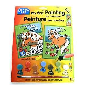  Color & Co. Paint By Numbers Set horse