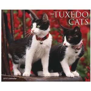  (2012 Calendar) Tuxedo Cats 2012 Wall Calendar By Willow 