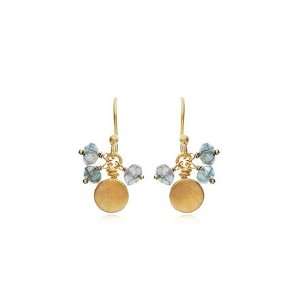    Labradorite Cluster Disc Earrings in 24 Karat Gold Jewelry