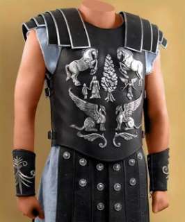 Gladiator Costume  Final Battle  