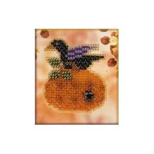  Blackbird Pumpkin (beaded kit) Arts, Crafts & Sewing