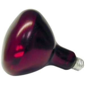 LAMP HEAT COATED RED 250W, CS 2PK, 10 0778 SHAT R SHIELD INC DUST PANS 