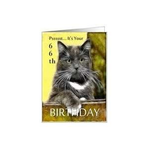    Birthday ~ Age Specific 66th ~ Cat in a box Card Toys & Games
