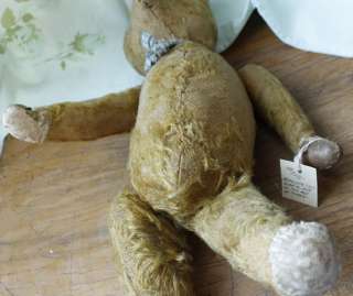 Old 1905 Primitive Antique 14 Teddy Bear Gold Brown Mohair Straw 