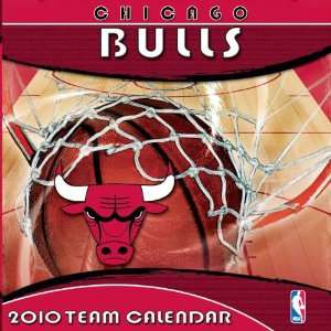 Chicago Bulls 2010 Box Calendar 