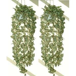  2 x 37 Begonia Rex Ivies, Artificial Hanging Plants: Home 