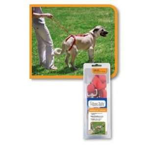    Lift/Always On Rear Harness / Size By Sherpa Pet Group