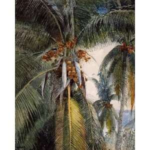   painting name Coconut Palms Key West, By Homer Winslow Home