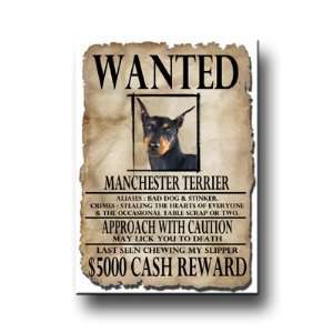 Manchester Terrier Wanted Fridge Magnet