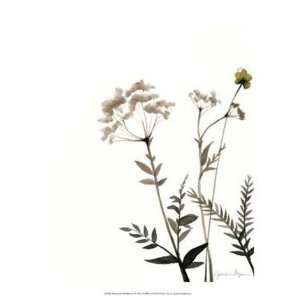  Watermark Wildflowers IX   Poster by Jennifer Goldberger 