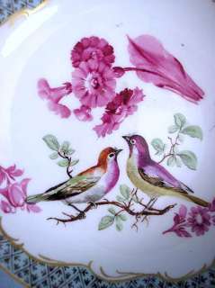   COLLECTION MARCOLINI PERIOD MADE CIRCA 1770 PAINTING BIRDS AND FLOWERS