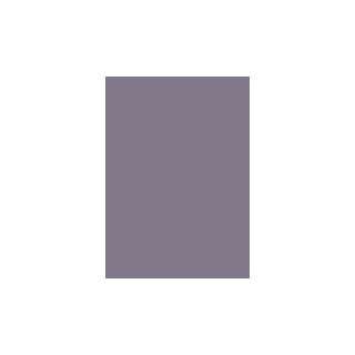   Dimensions Oversized Color Sample   Pampering Plum: Home Improvement