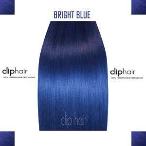20 Clip in Human Hair Extensions BLUE Full Head Set  