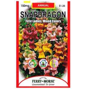 Ferry Morse Snapdragon First Ladies Seed 8052  