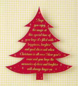 HOPE YOU ENJOY THE MAGIC Christmas verses   red  
