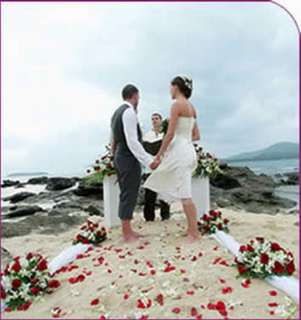 New Plus Size 20 Classic Romantic Knee Tea Length White Wedding Dress 