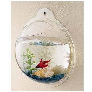  Discussions Fish Bubbles   Wall Hanging Fish Tank   3.6L forum