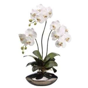   Orchid Silk Flower Arrangement  White/Green
