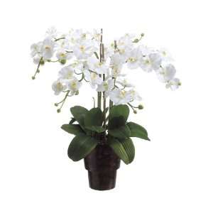  Artificial White Phalaenopsis Orchid Silk Flower Plant: Home & Kitchen