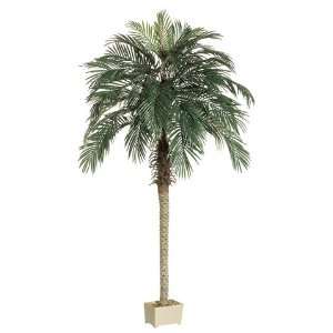   Pack of 2 Potted Artificial Silk Phoenix Palm Trees 7 Home & Kitchen